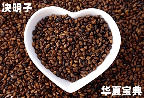 决明子[草本植物中药名]