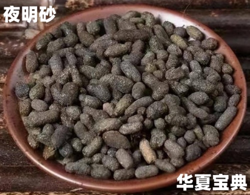 夜明砂[蝙蝠粪便中药名]