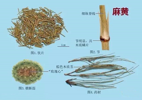 acb_副本.jpg