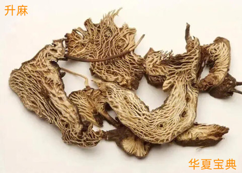 5bf_副本.jpg