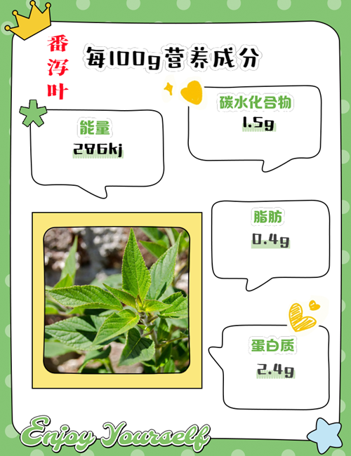 45ba8_副本.png