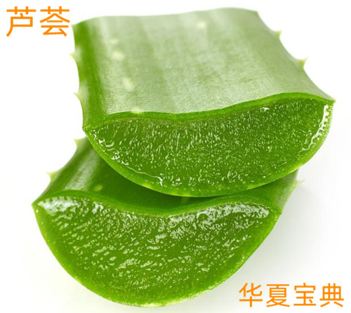 u=232_副本.jpg