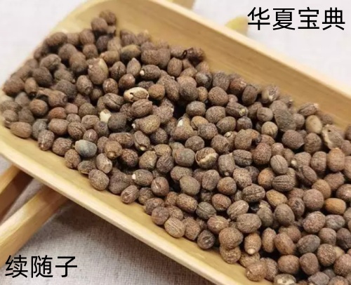 4_im(1)_副本.jpg