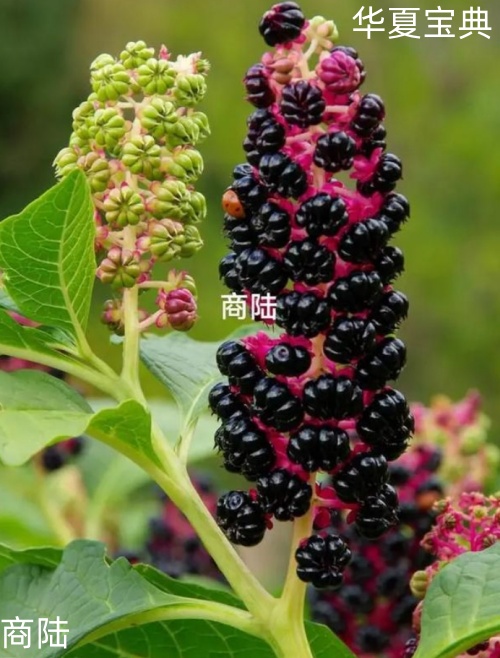 2025m_副本.jpg