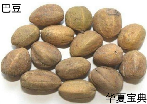 25_i_副本.jpg