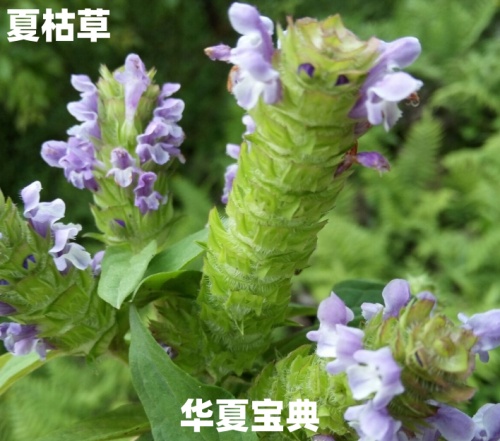 60_im_副本.jpg