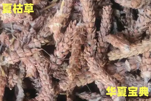 13_im_副本.jpg