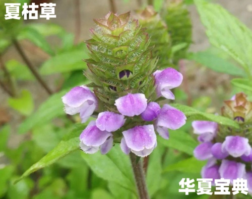 99_im_副本.jpg
