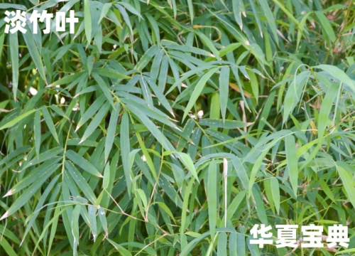 13_im_副本.jpg