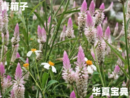 43_im_副本.jpg
