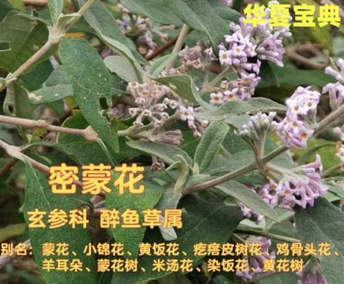 17_im_副本.jpg