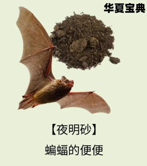 53_ima_副本.jpg